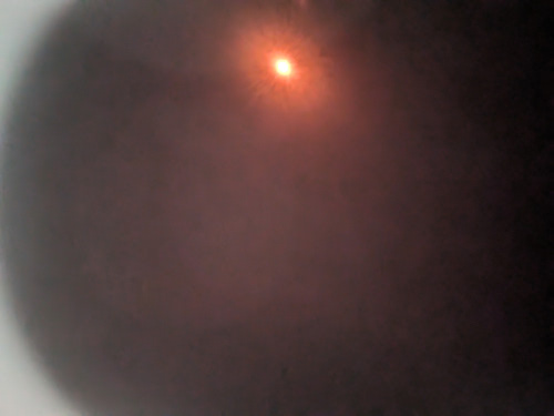 Current Picture